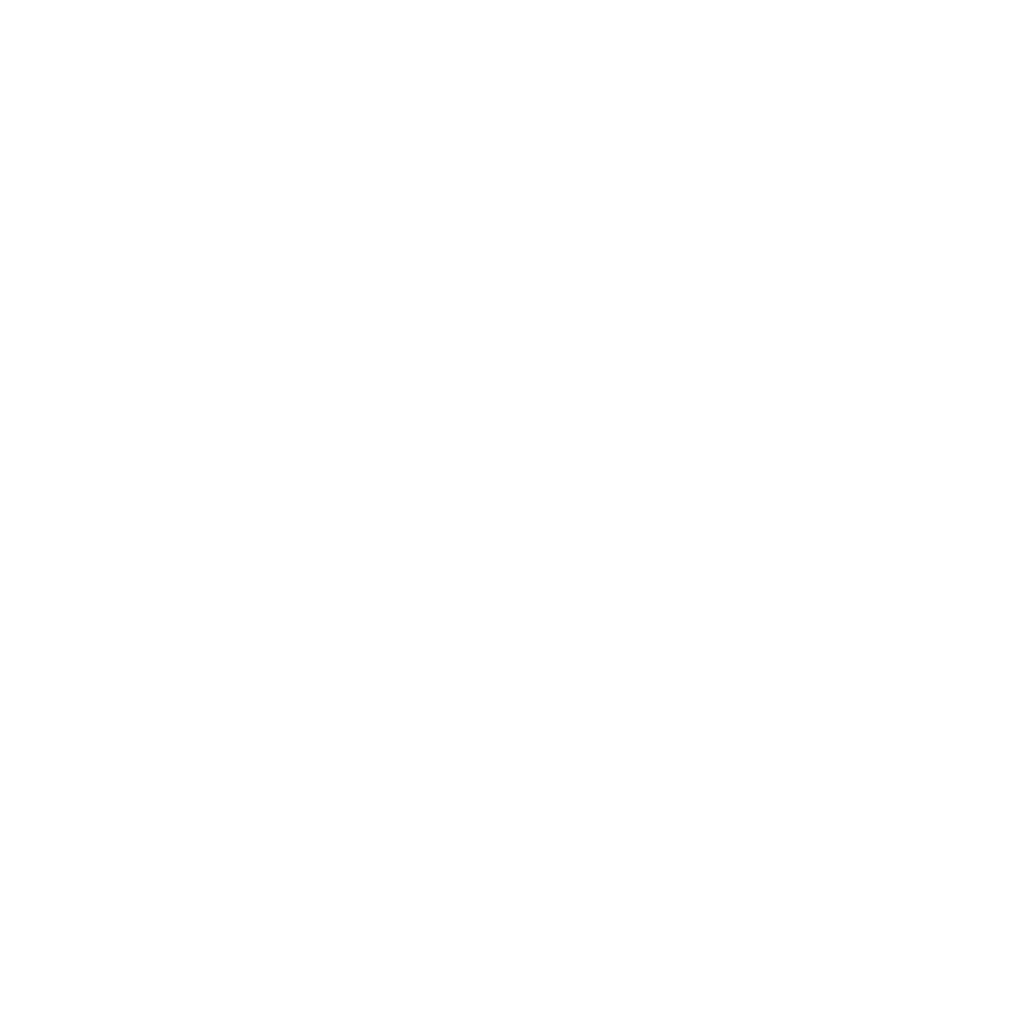 Dragon Studio